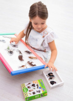 Набір магнітів Зоо 19шт ML4031-02 EN