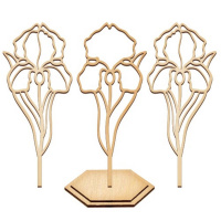 Набір для вітражного живопису за номерами "Ніжна ірис" FDSGK-013