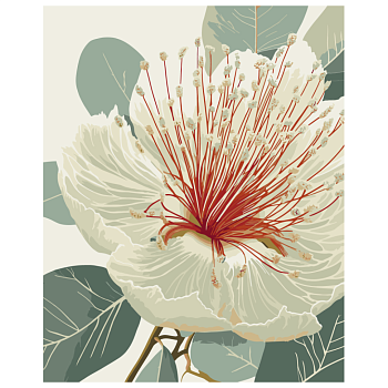 Картина за номерами "Квітучий евкаліпт" Art Craft 13155-AC 40х50 см                                                      