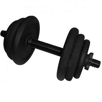 Гантель набірна лита NE-300-GP013, 12,5 кг, чорний