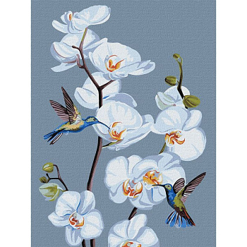 Картина за номерами "Квітучі орхідеї" ©annasteshka KHO3241 Ідейка 30х40 см