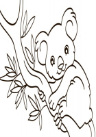 Дитяча водна розмальовка: Екзотичні тварини 734012, 8 сторінок