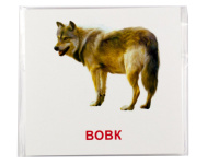 Розвиваючі картки "Лісові мешканці" (110х110 мм) 66425  укр. /англ. мовою