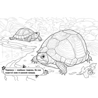 Дитяча розмальовка "Тварини у домі" 583010, 16 сторінок