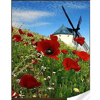 Алмазна мозаїка "Млин" GM86061 30х40 см