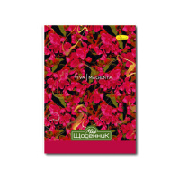 Щоденник учнівський "Стандарт" АП-0103 на скобі