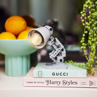 Конструктор у капсулі Лампа MAX 83224EGQ8 серії "Home" S1