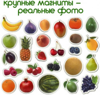 Набір магнітів Magdum "Фрукти і ягоди" ML4031-11 EN