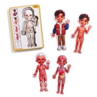 Дерев'яний пазл-вкладиш "Анатомія людини - хлопчик-2" (ПСД261) PSD261 будова тіла