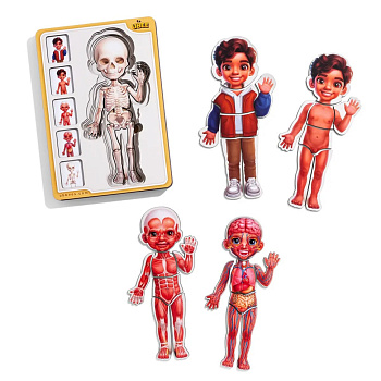 Дерев'яний пазл-вкладиш "Анатомія людини - хлопчик-2" (ПСД261) PSD261 будова тіла