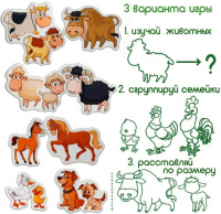 Набір магнітів Magdum Ферма сімейки ML4031-21 EN