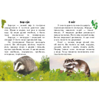 Читаю про Україну по складах "Тварини лісів" 366023 з кольоровими ілюстраціями