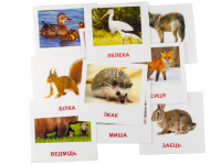 Розвиваючі картки "Лісові мешканці" (110х110 мм) 66425  укр. /англ. мовою