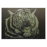 Гравюра А4 "Тигр" ГрА4-5з економ варіант в пакеті 29,7х21 см