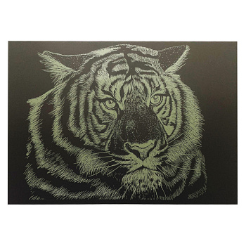 Гравюра А4 "Тигр" ГрА4-5з економ варіант в пакеті 29,7х21 см
