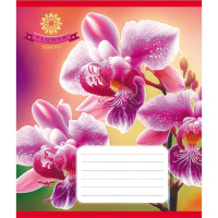 Зошит учнівський "Орхідея" 036-570137K-5 в клітинку, 36 аркушів