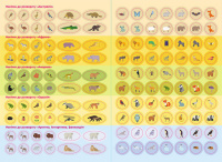 Дитячі розумні наклейки "Тварини світу" 879005 укр. мовою