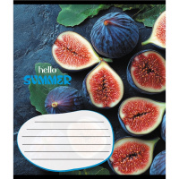 Зошит учнівський "Фруктовий сет" 018-530414K-5 в клітинку, 18 аркушів