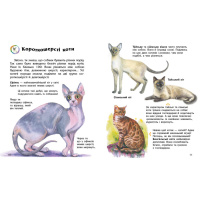 Енциклопедія дошкільника "Коти" 614039 для найменших