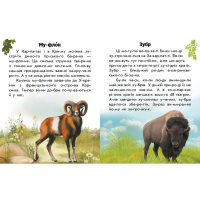Читаю про Україну по складах "Тварини гір" 366021 з кольоровими ілюстраціями