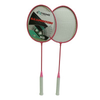 Набір Бадмінтону BD24188(Pink) 2 ракетки, воланчик, в сумці