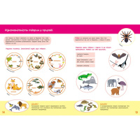 Дитяча книжка "Школа Кенгуру. Пізнаємо світ" III крок 1917003
