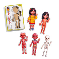 Дерев'яний пазл-вкладиш "Анатомія людини - дівчинка-2" (ПСД263) PSD263 будова тіла