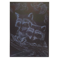 Гравюра А4 "Єнот" ГрА4-16с економ варіант в пакеті 29,7х21 см