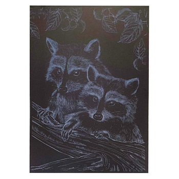 Гравюра А4 "Єнот" ГрА4-16с економ варіант в пакеті 29,7х21 см