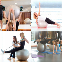 Фітбол м'яч для фітнесу HMS NE-FB-65G, сірий 65 см