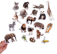 Набір магнітів Зоо 19шт ML4031-02 EN